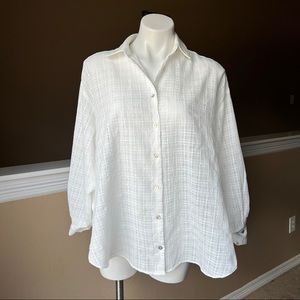 ZARA Women’s Button Down Blouse